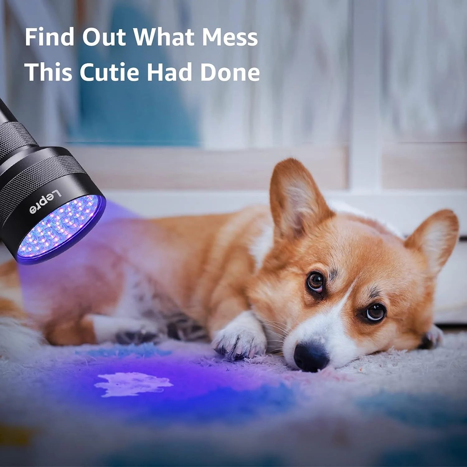 Lepro 395nm UV Black Light Flashlight with 51 LEDs, Heavy-Duty Handheld Pet Urine & Scorpion Detector - Image 3