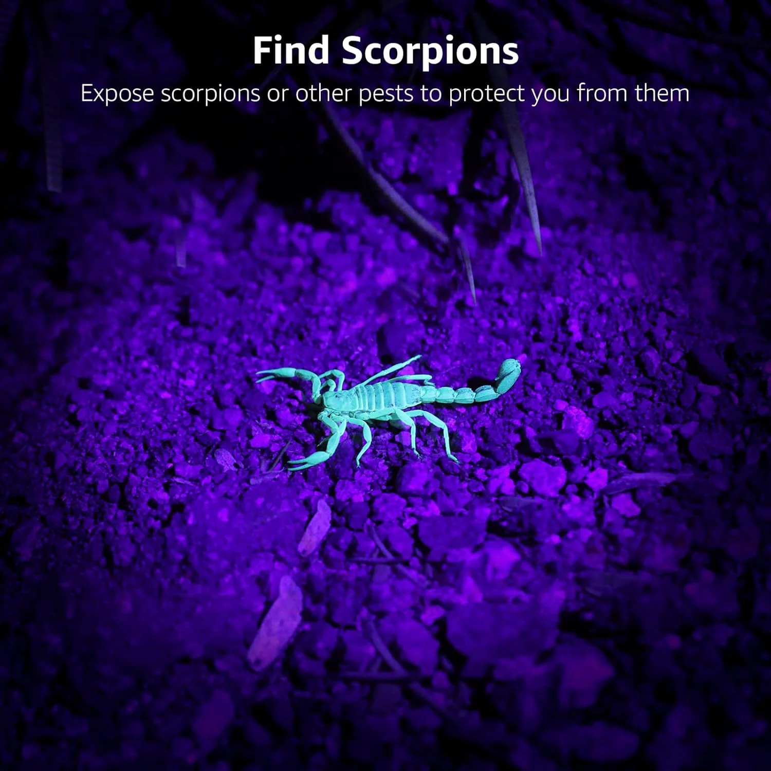 Lepro 395nm UV Black Light Flashlight with 51 LEDs, Heavy-Duty Handheld Pet Urine & Scorpion Detector - Image 9
