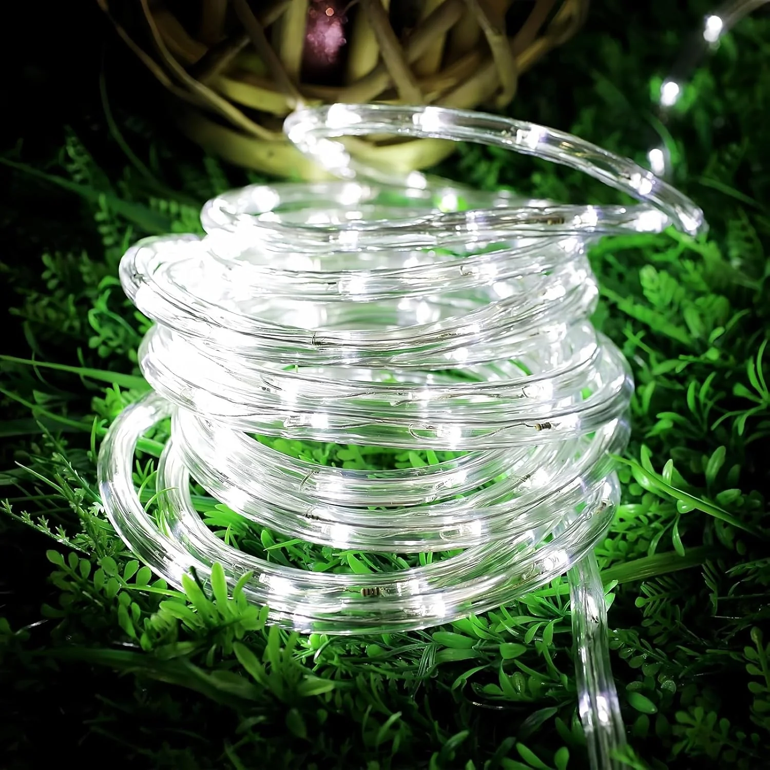 Lepro Outdoor Rope Lights (Cool White 6000K, 33ft, 240 LEDs) - Image 2